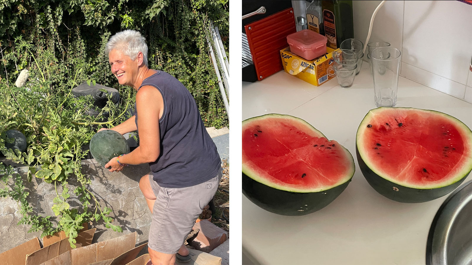 La Palma is ontzettend vruchtbaar dus binnen een paar maanden heb je watermeloenen in je tuin